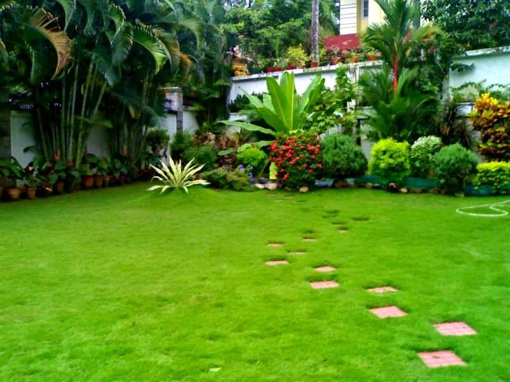 EV Garden Exotic Fruits Plant Kakkad